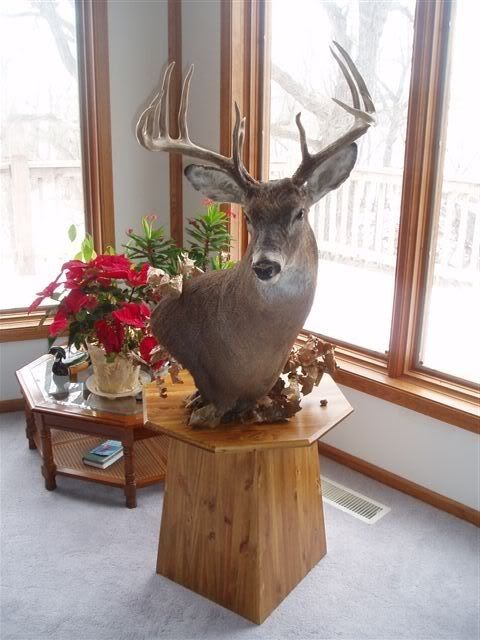 My 2004 Bow buck