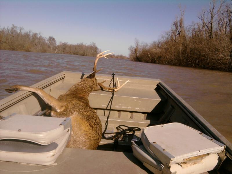 my biggest buck  ride home