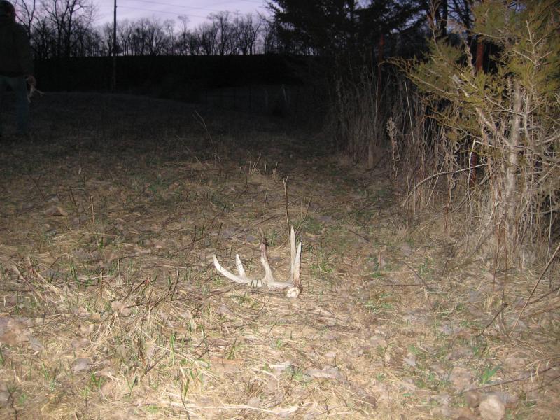 My first 5 point and he is a STUD