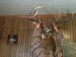 my shed 2011