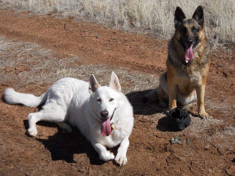 my shed hunting buddies