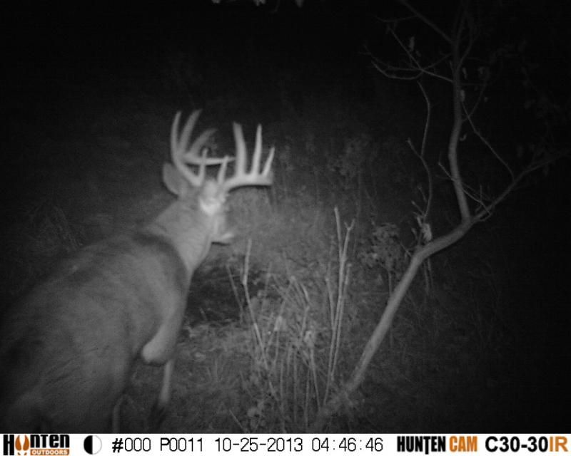 Named this guy Mr. 46.