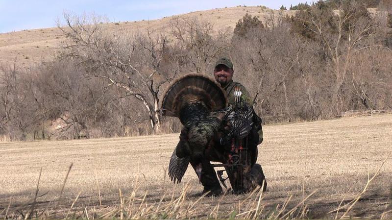 NE Bow Kill, 20.3 pound tom with one inch spurs and a 9 inch beard! Check out the video here: http://bit.ly/1e51SC6
