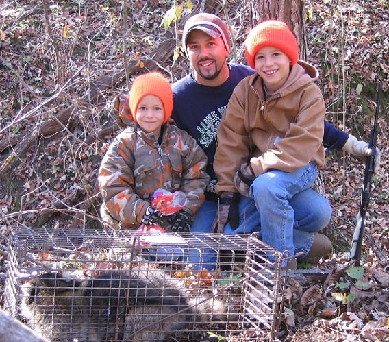 Nice coon in the live trap