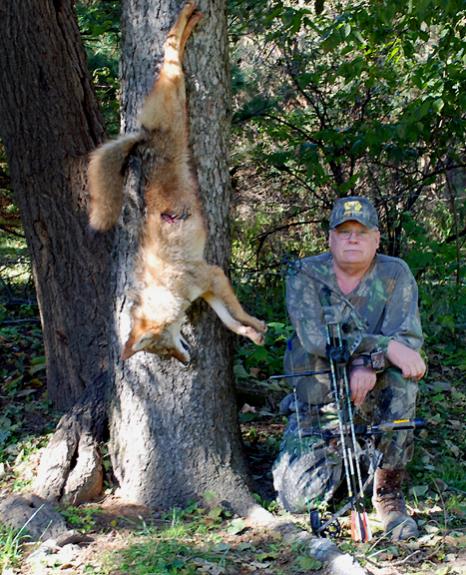 November coyote 2009, I have been trying to score a yote for years with a bow, finally did it.