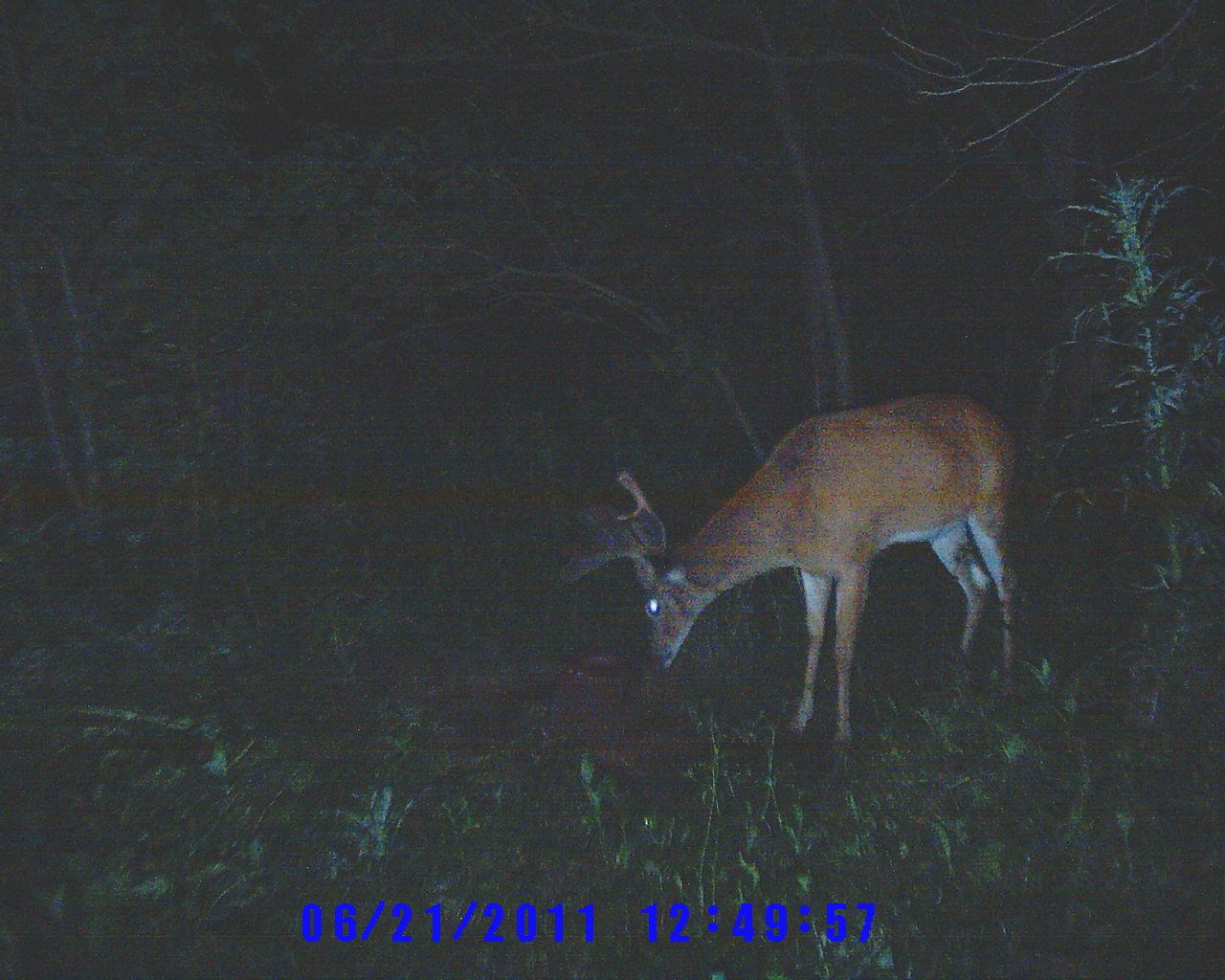 on the hit list