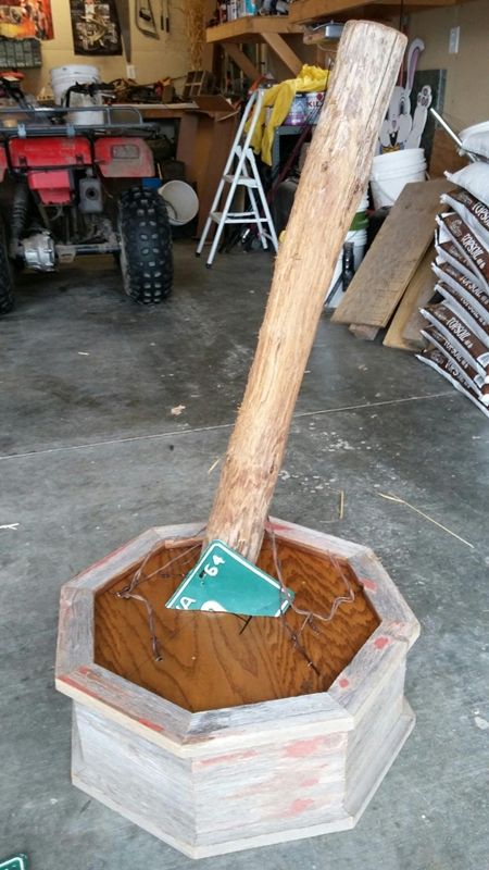 Pedestal