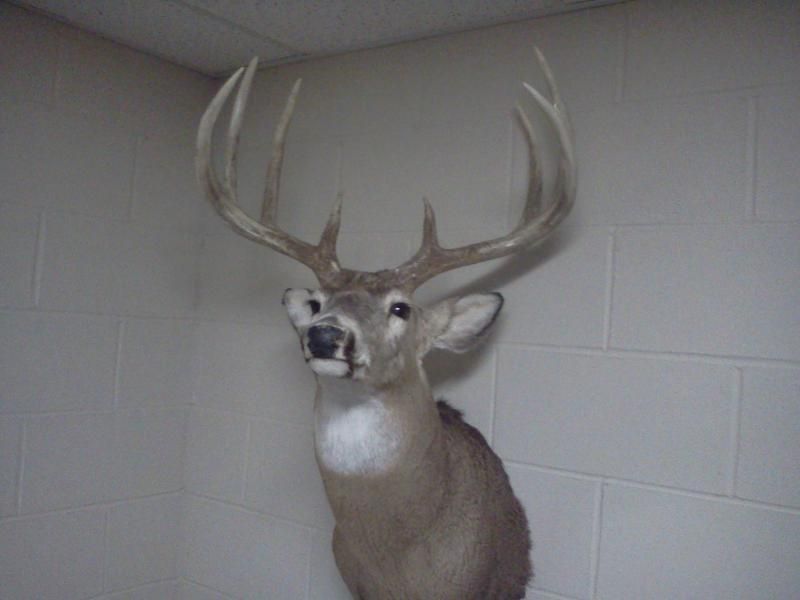 phone pics nov 9 12 097