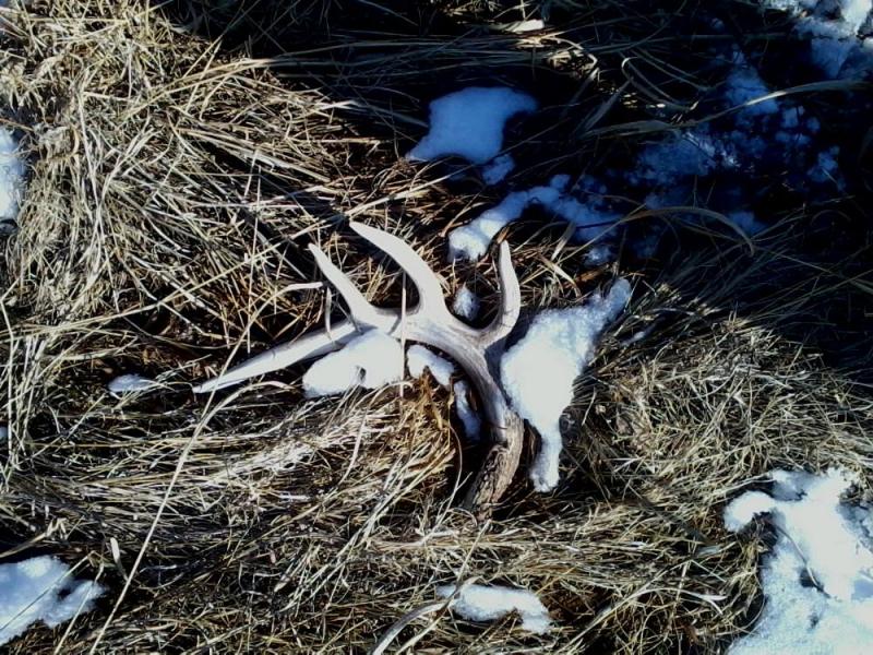 Photo0021[2]