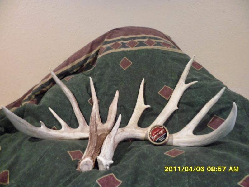 Picture 033
