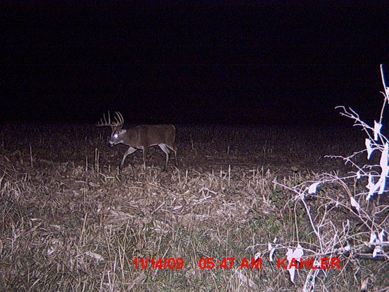 Picture 041