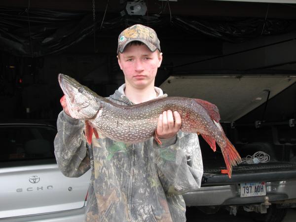 pike fishing on the mississippi is just as fun on the lakes