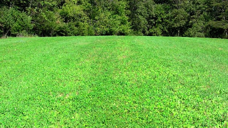 plot 2