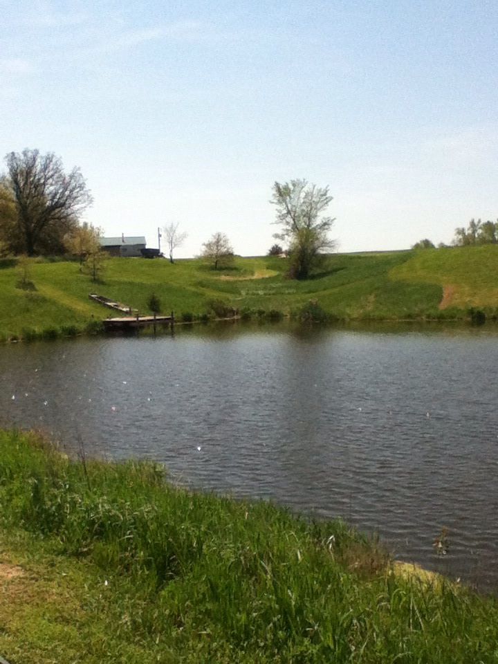 Pond to back of cabin