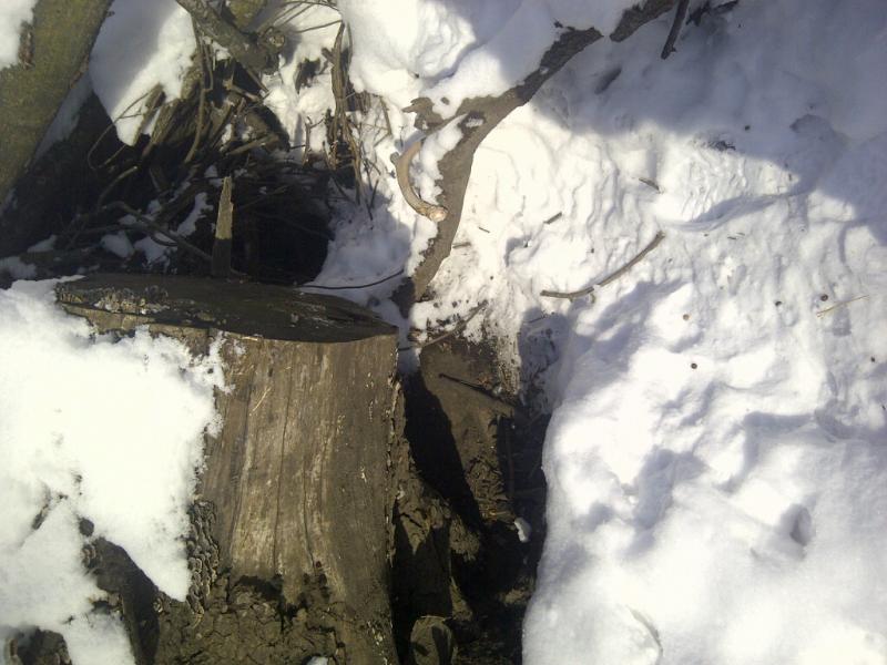 Prairie 20140209 01091