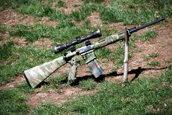 Remington AR-15 .223, this will be a great varmint gun.