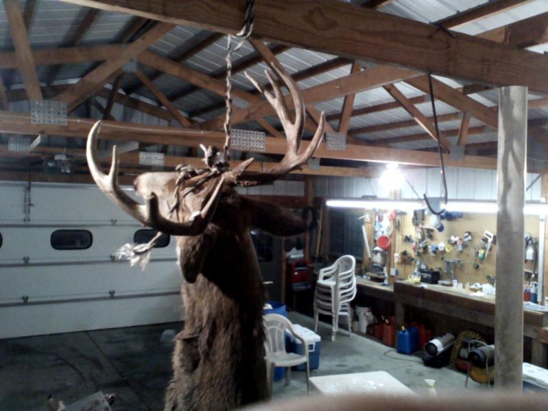 Rex has another nice rack hanging