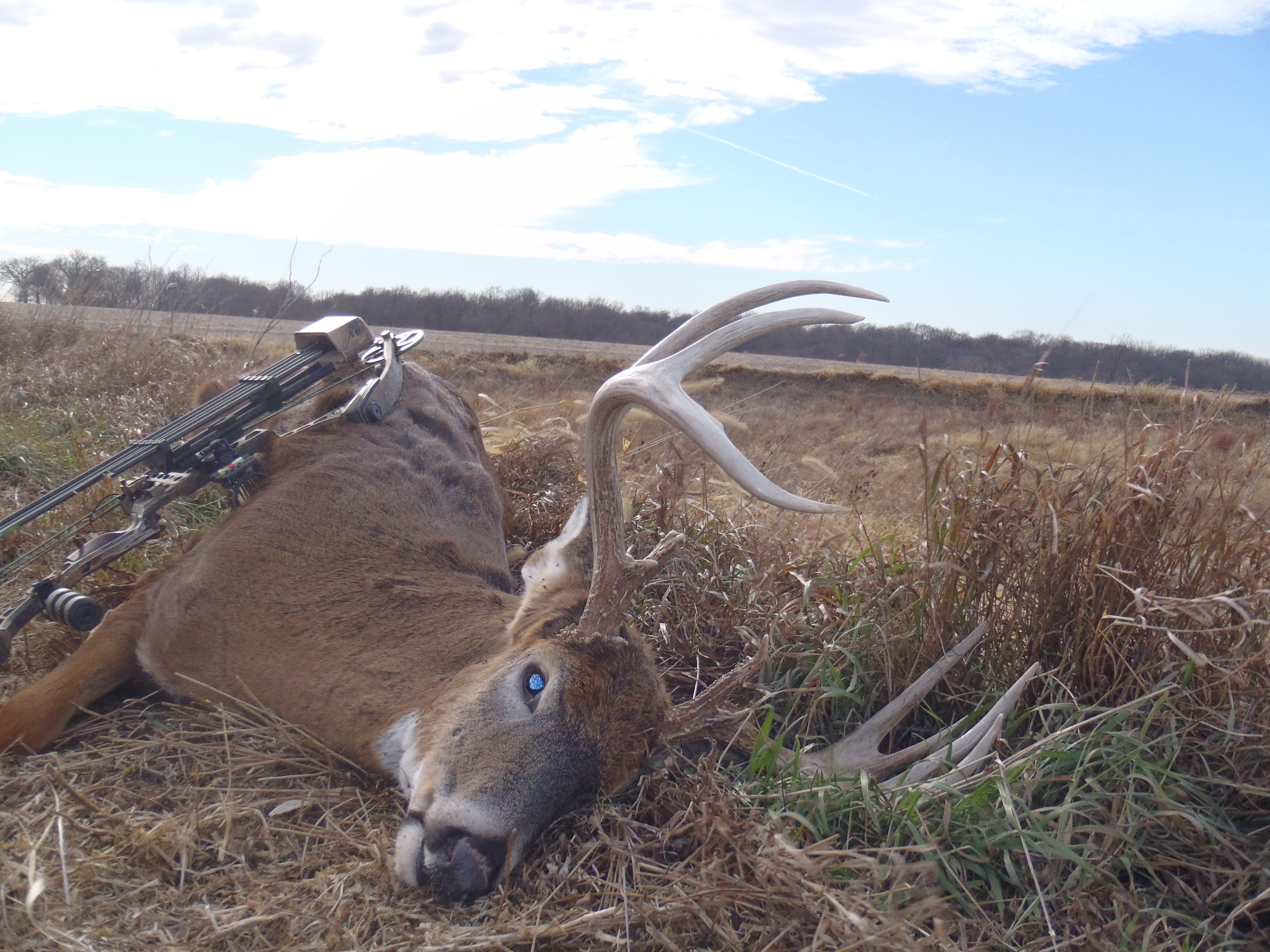 Rhett's Nov.28th 2010 bow buck 080