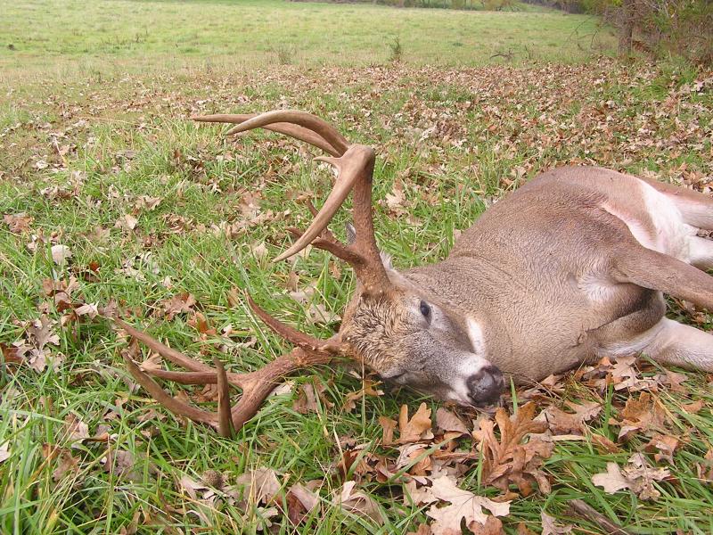 Ryan Buck 002
