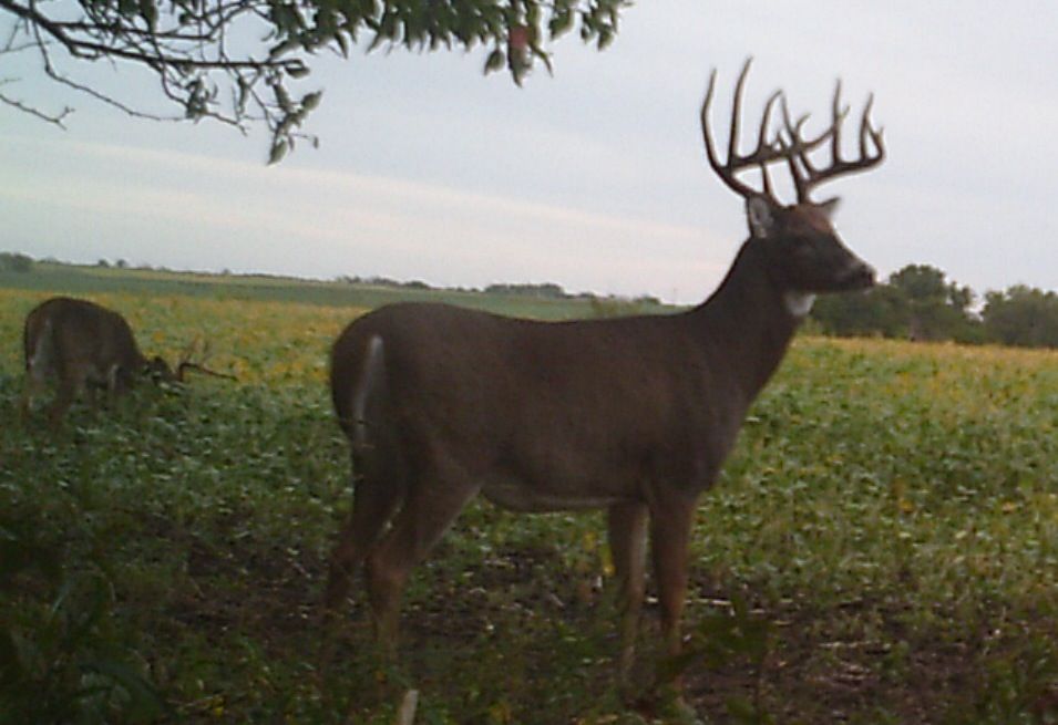 Same Buck As 7x6????