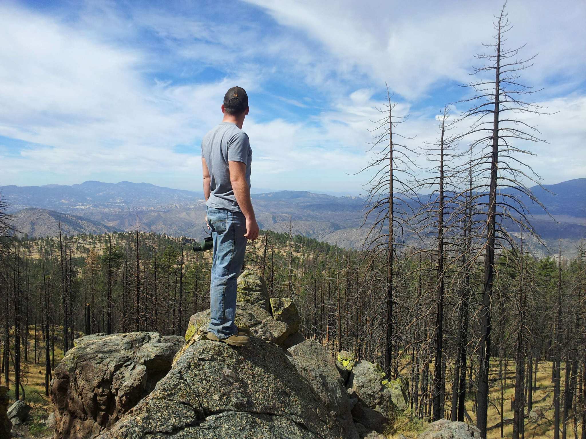 Scouting At Los Padres National Forest, California