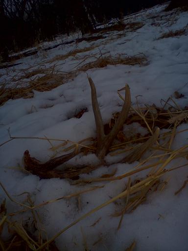 shed gods have been good