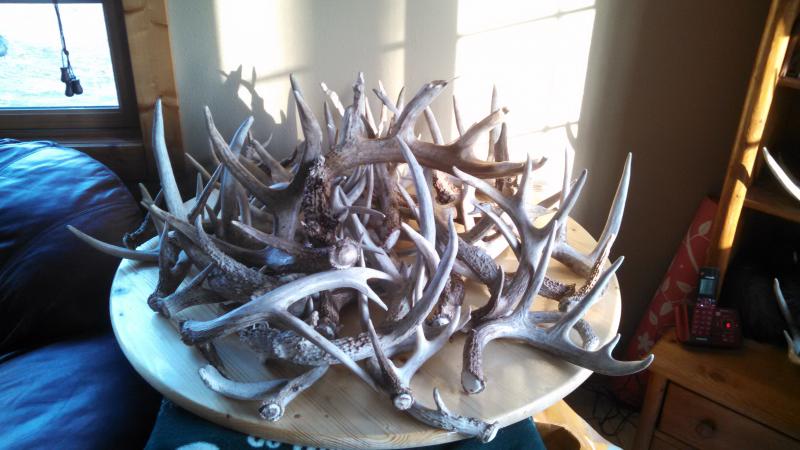 Shed Pile  03 11 2015