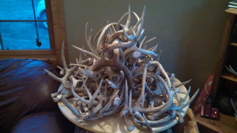 Shed Pile 2015
