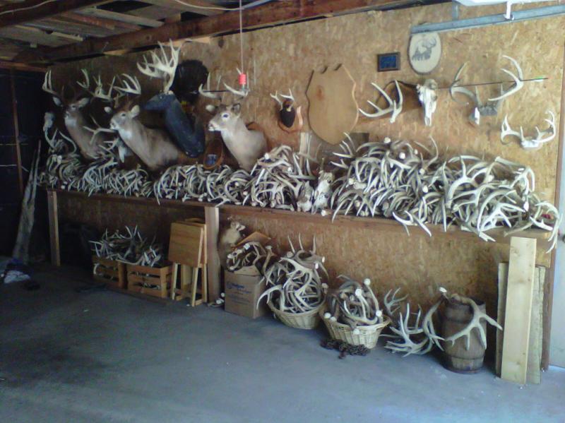 shedgarage 1