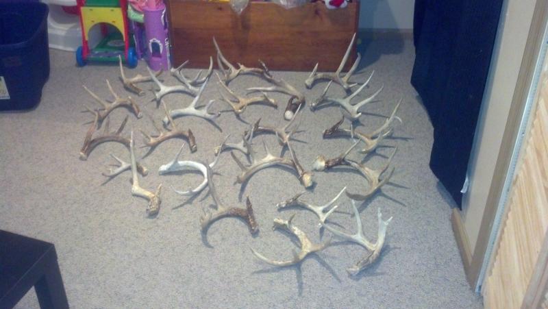 sheds