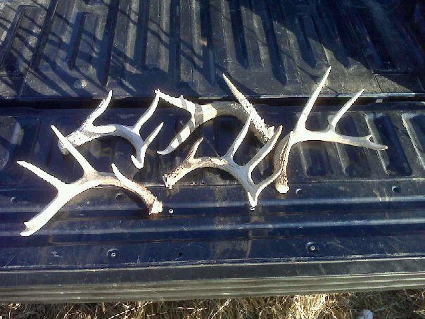 sheds