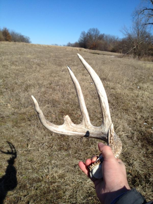 Sheds1