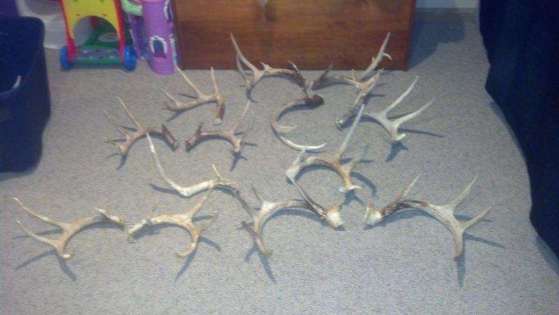 sheds1