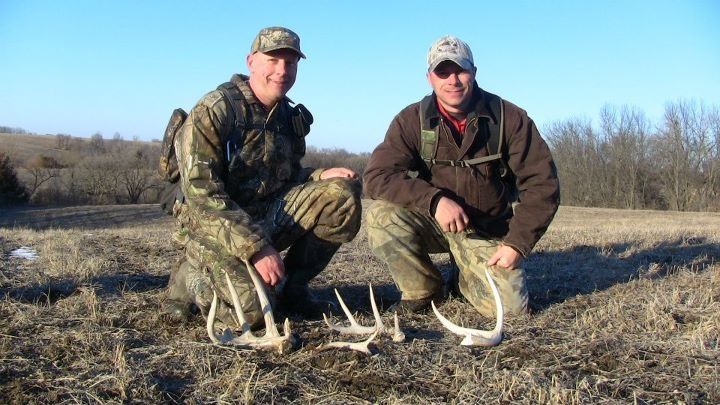 sheds3
