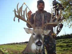 silver city buck