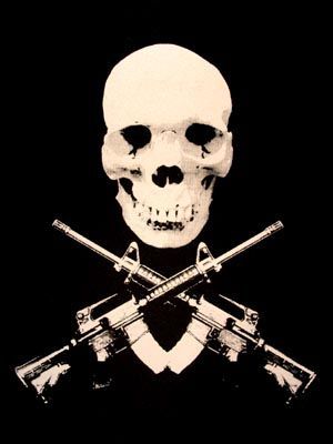 Skull AR 15