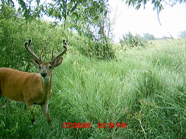 South WC Early July 09
