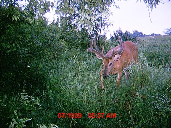 South WC Early July 09
