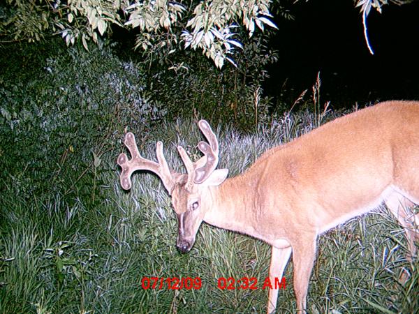 South WC Early July 09