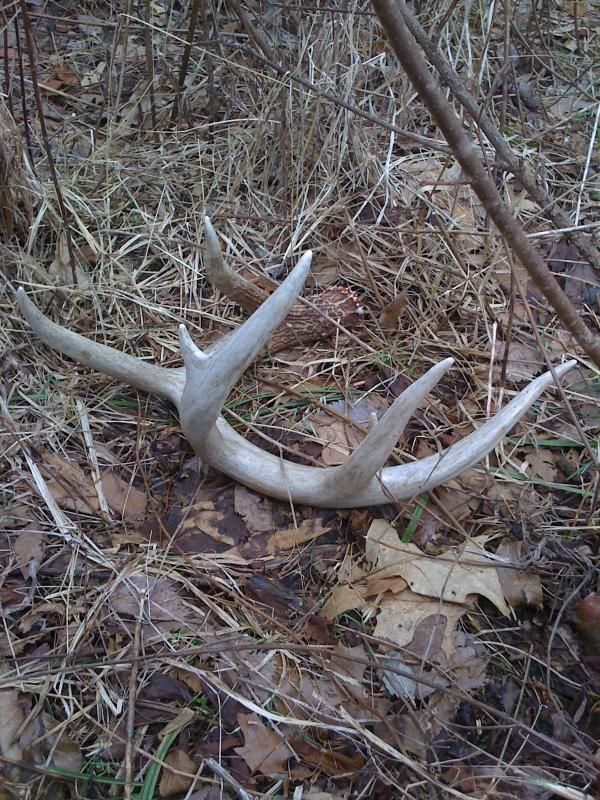 southern iowa shed