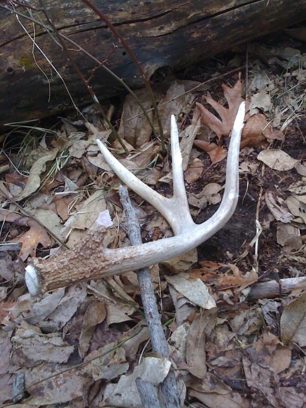 southern iowa shed