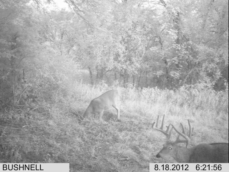 Spring 20120818 6