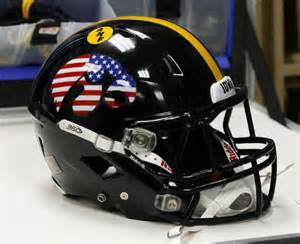 Stars and Stripe TigerHawk