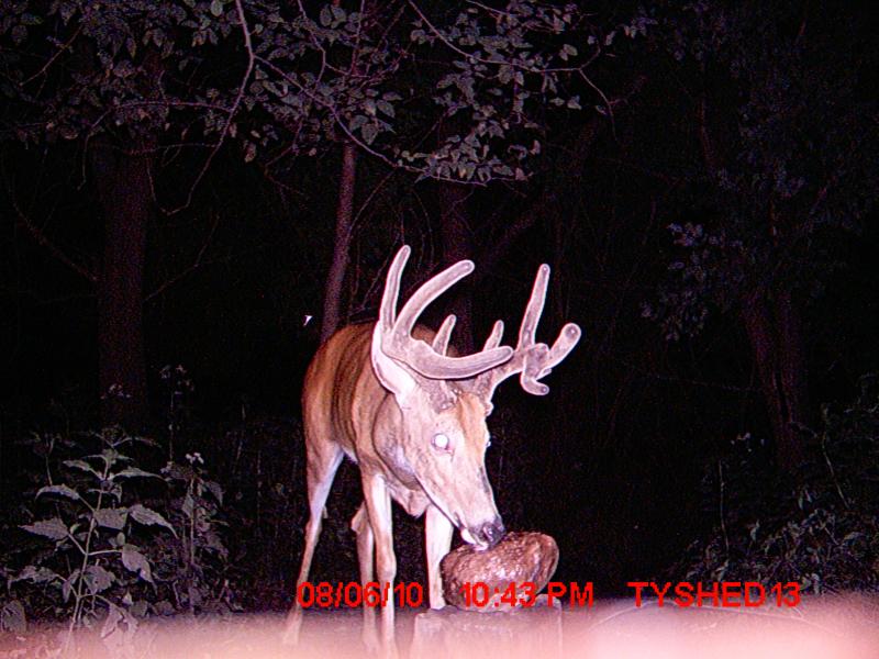 summer '10 pics 064