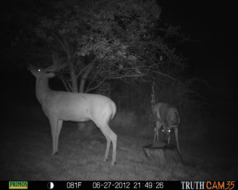 Tall boy and a nice 9