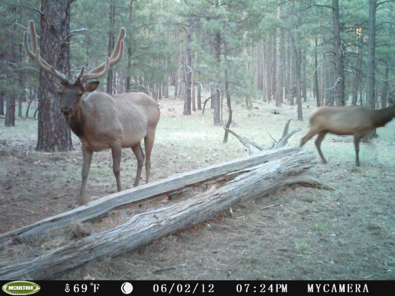 Target 6x6