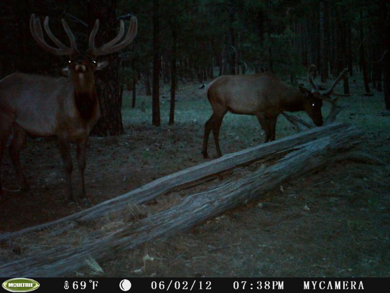 Targeted 6x6 #4