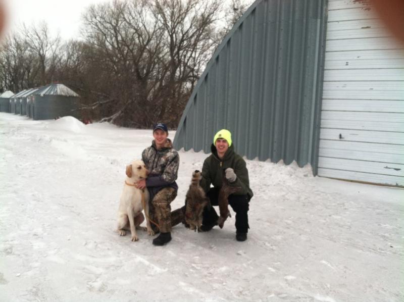 The dog that found the mink