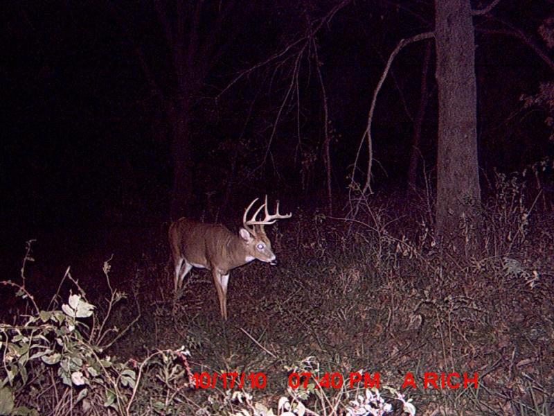 the "kicker 9" 2010
