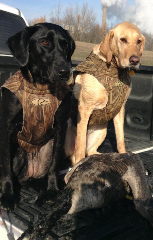 The mutts!!!